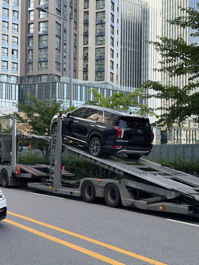 Hyundai Palisade на автовозе